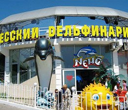 Одесский дельфинарий Немо